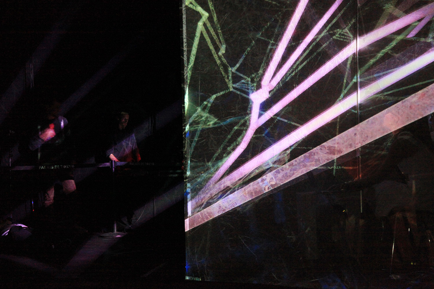 Spider's Canvas - Palais De Tokyo - long excerpt